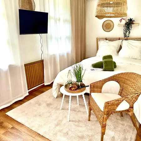Historisches Fachwerk Haus Am Fluss Guest house