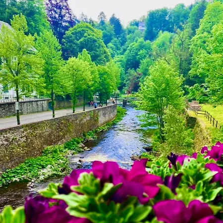Pensionat Historisches Fachwerk Haus Am Fluss Monschau