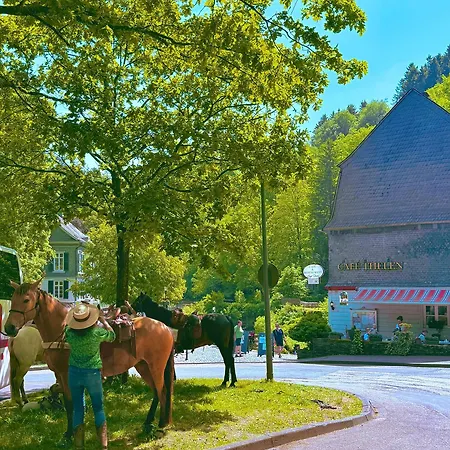 Vendégház Historisches Fachwerk Haus Am Fluss 3*