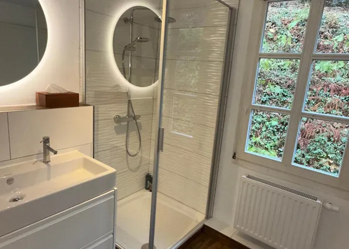 Pensionat Historisches Fachwerk Haus Am Fluss 3*