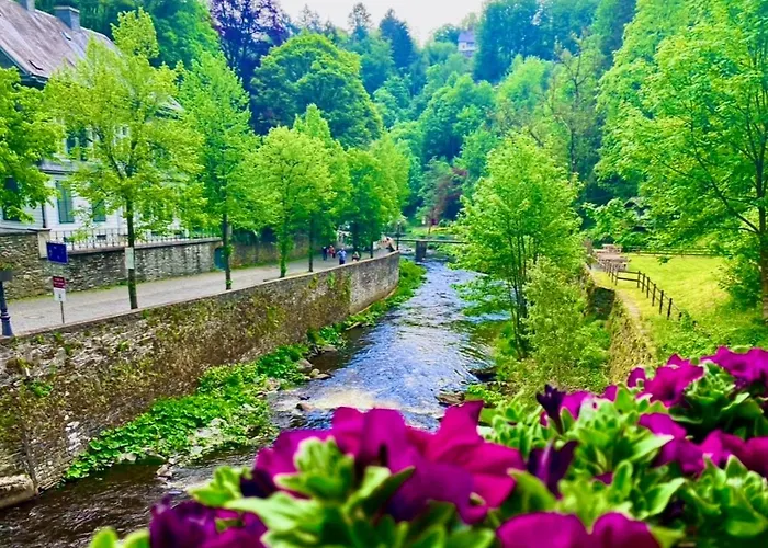 Pensionat Historisches Fachwerk Haus Am Fluss Monschau