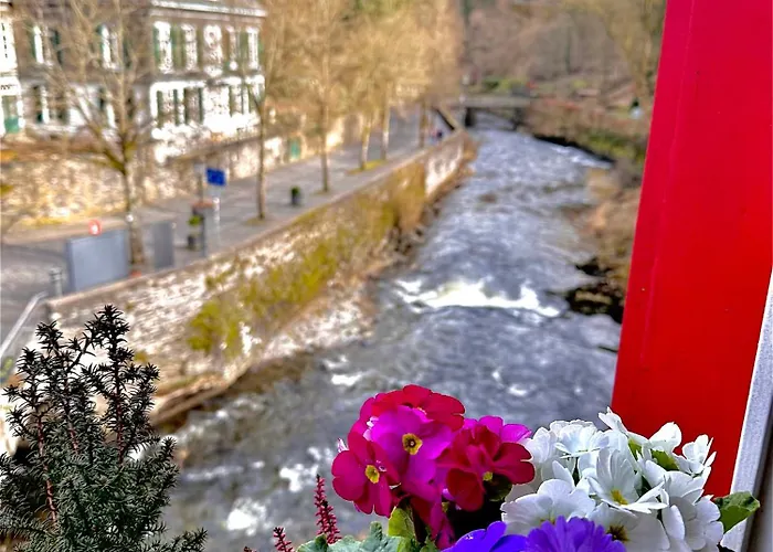 Pensionat Historisches Fachwerk Haus Am Fluss 3*